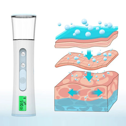 HydroGlow Facial Humidifier